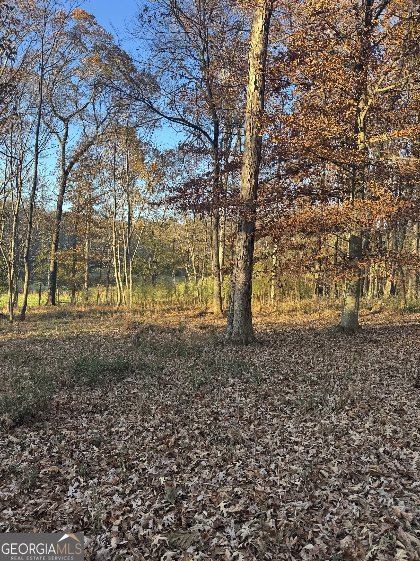 Quiet Oaks - Land