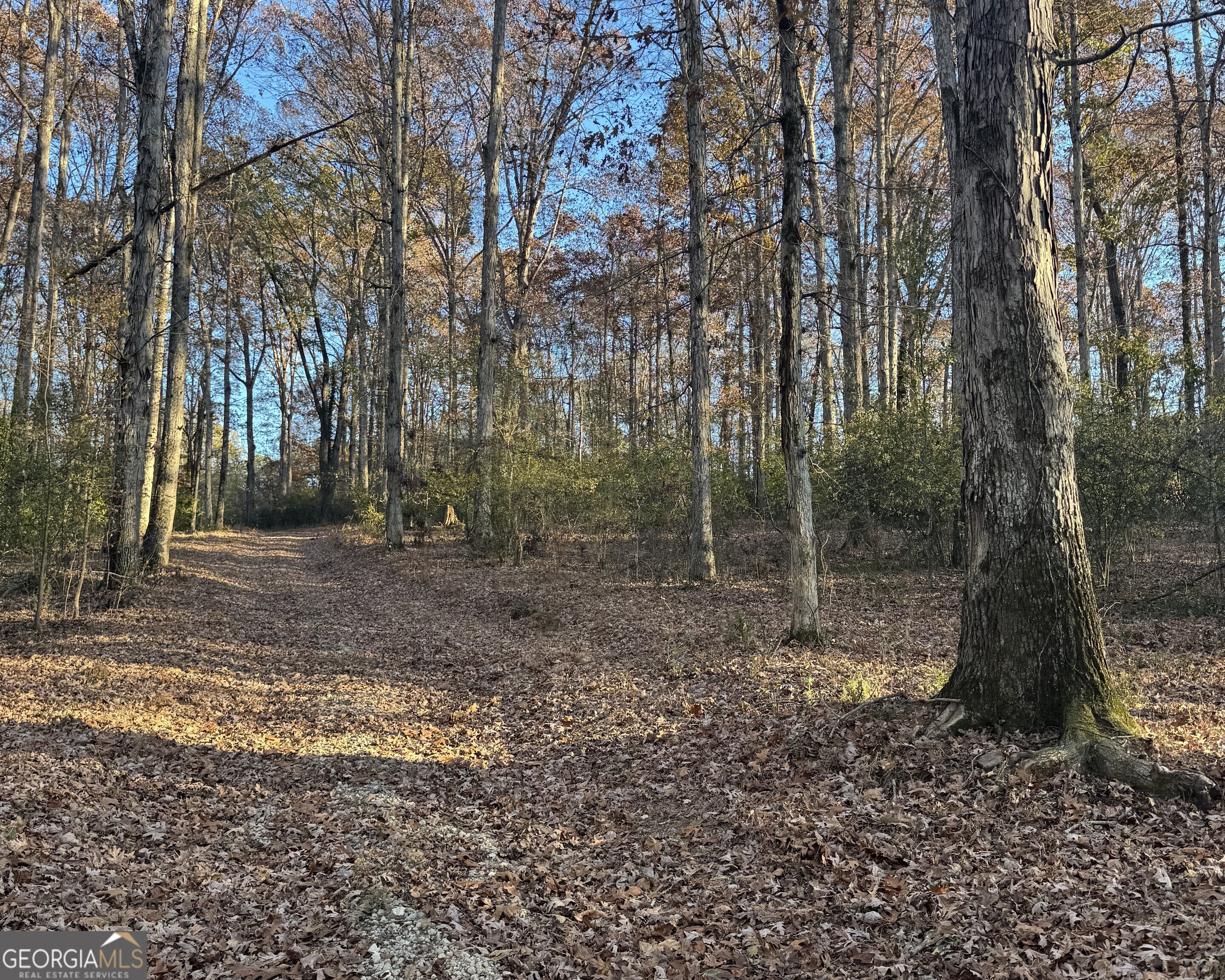 Quiet Oaks - Land