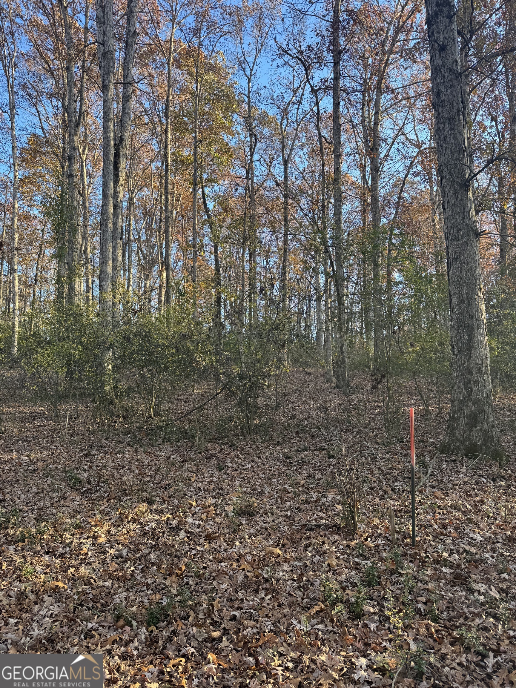 Quiet Oaks - Land