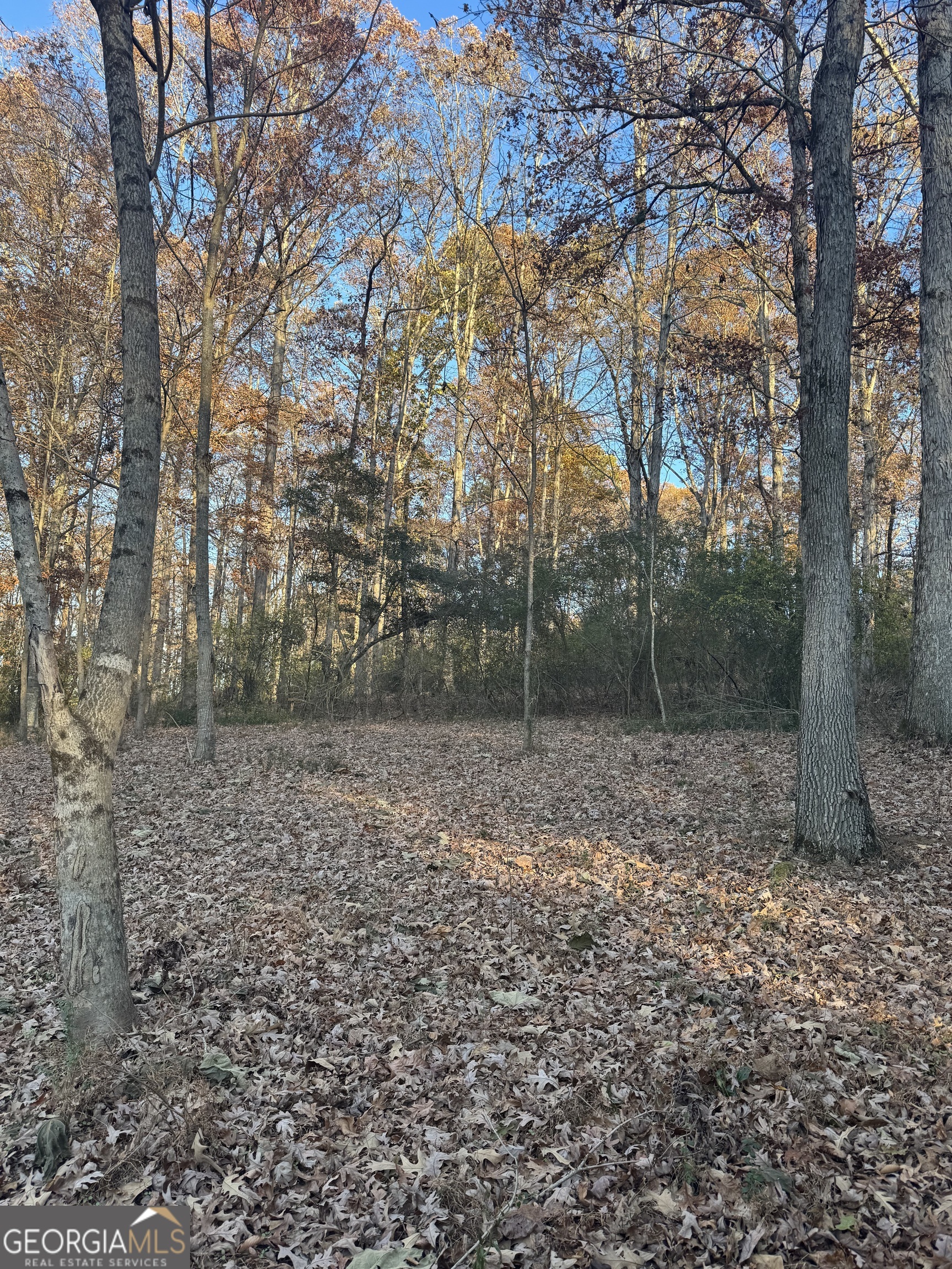 Quiet Oaks - Land