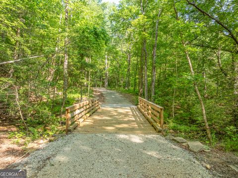 1298 Cold Stream TRL Jasper GA 30143