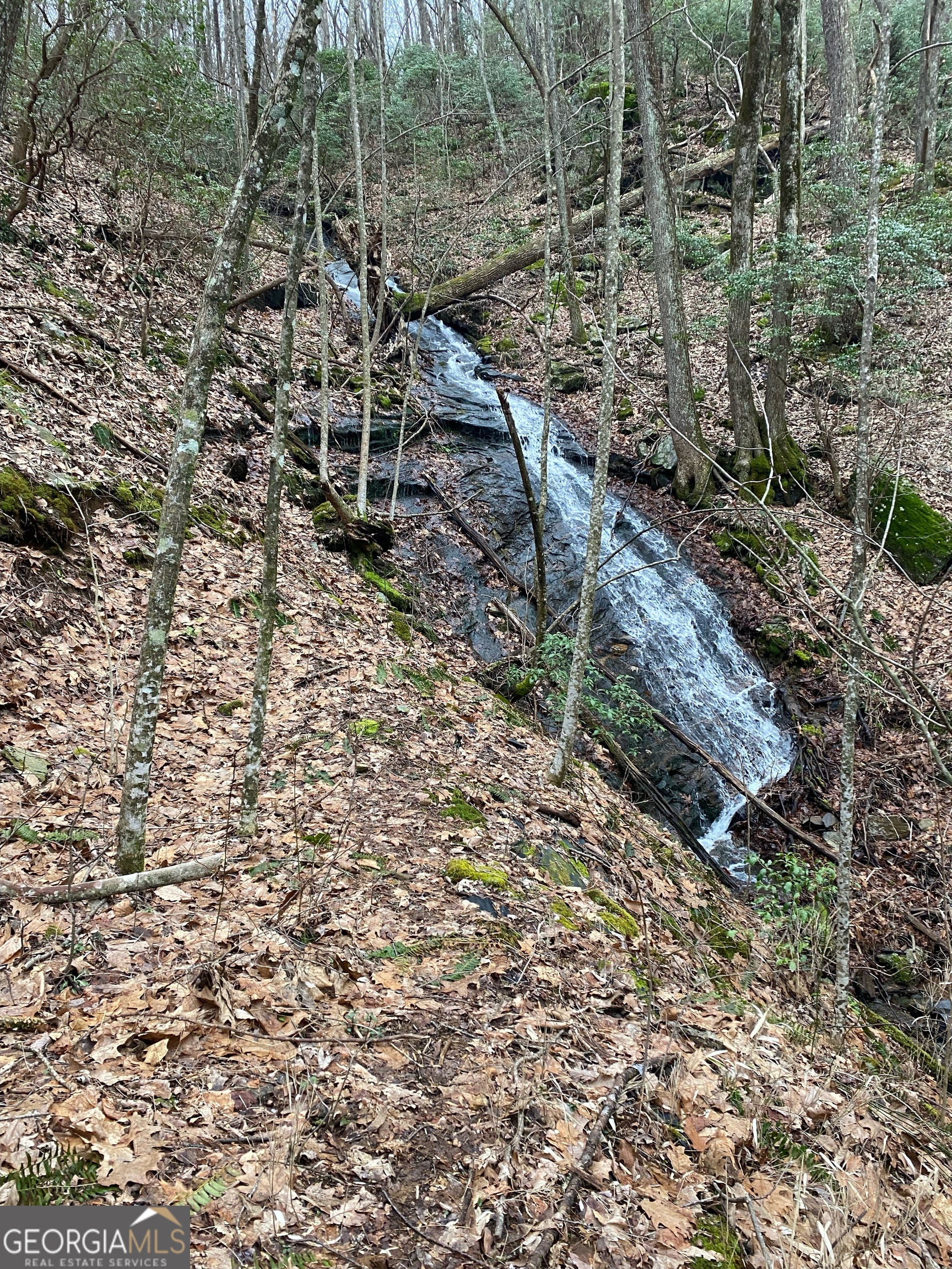 1298 Cold Stream TRL
