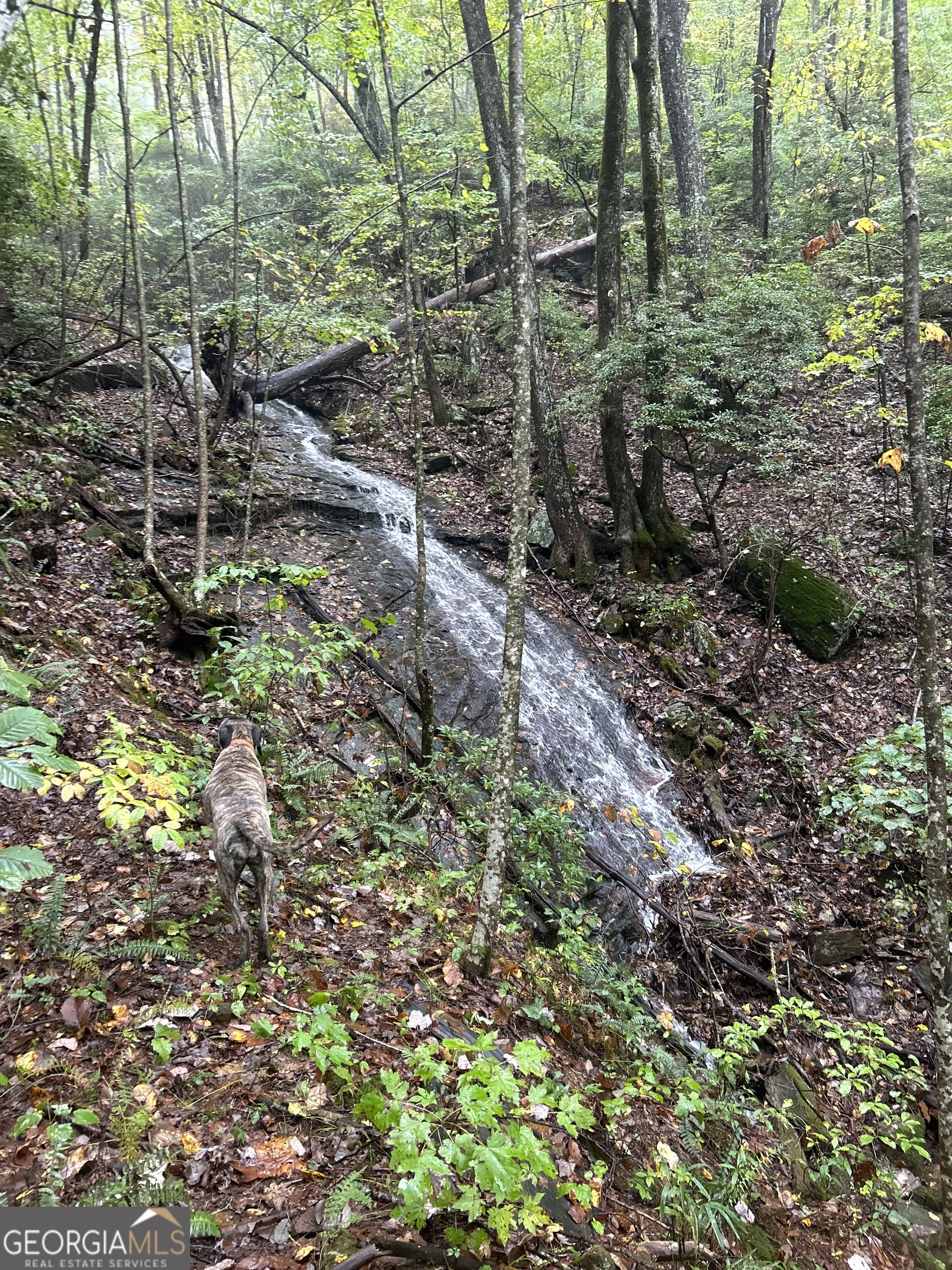 1298 Cold Stream TRL