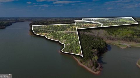 Photo of 0 Hunter Road, Locust Grove, GA 30248 (MLS # 10730976)