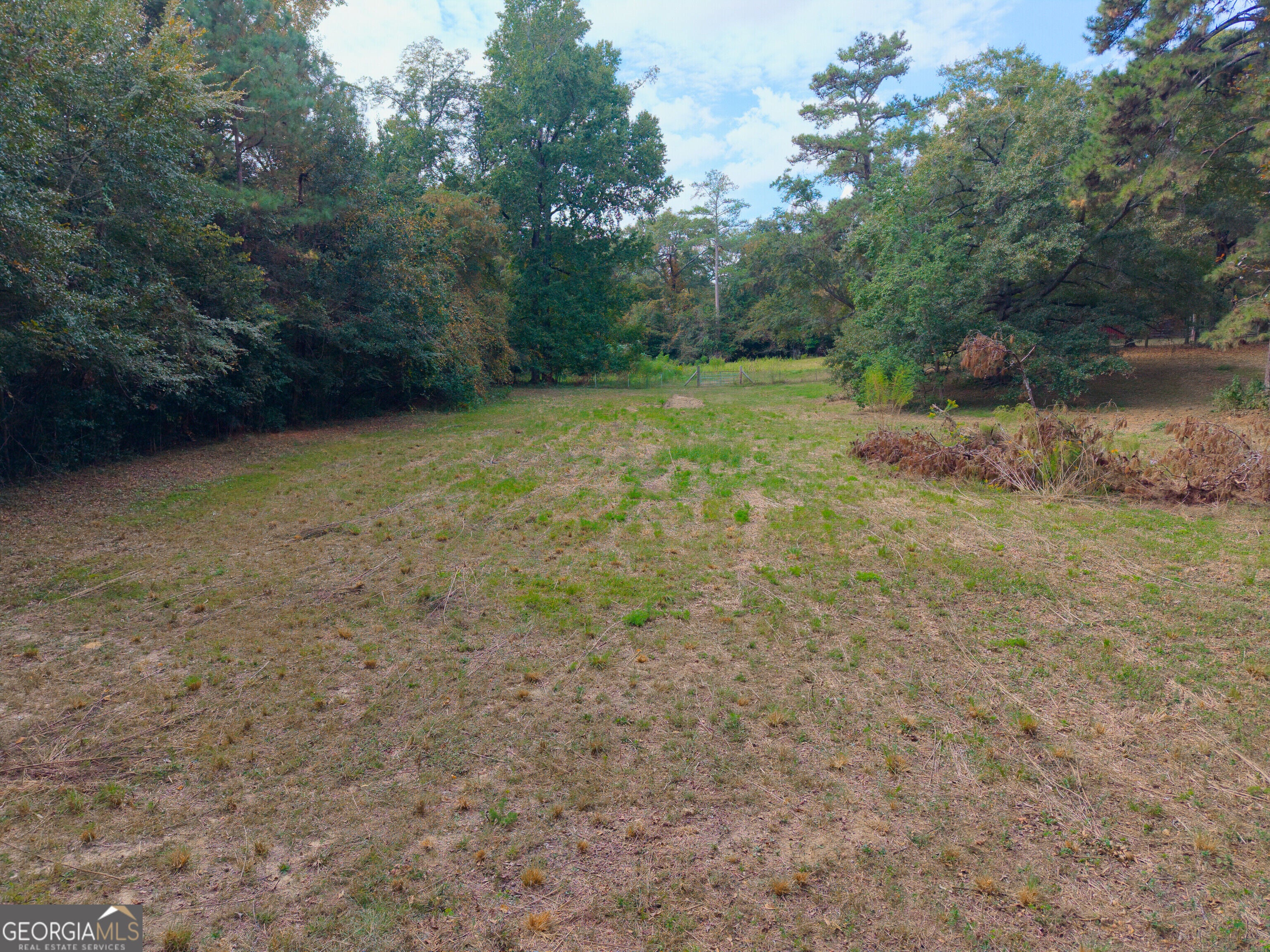 115 Lori LN