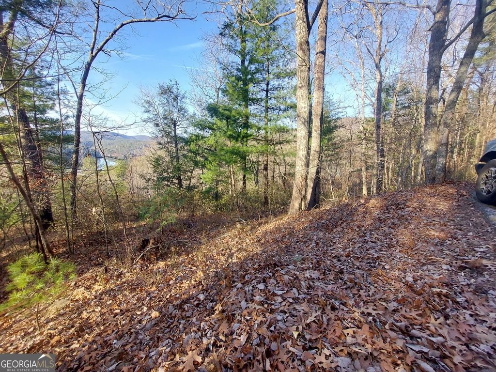 Photo of 16 Rabun Bluffs #16, Lakemont, GA 30552 (MLS # 10676884)