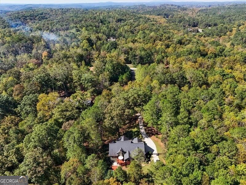 Photo of 328 Cain Creek Overlook, Ball Ground, GA 30107 (MLS # 10875129)