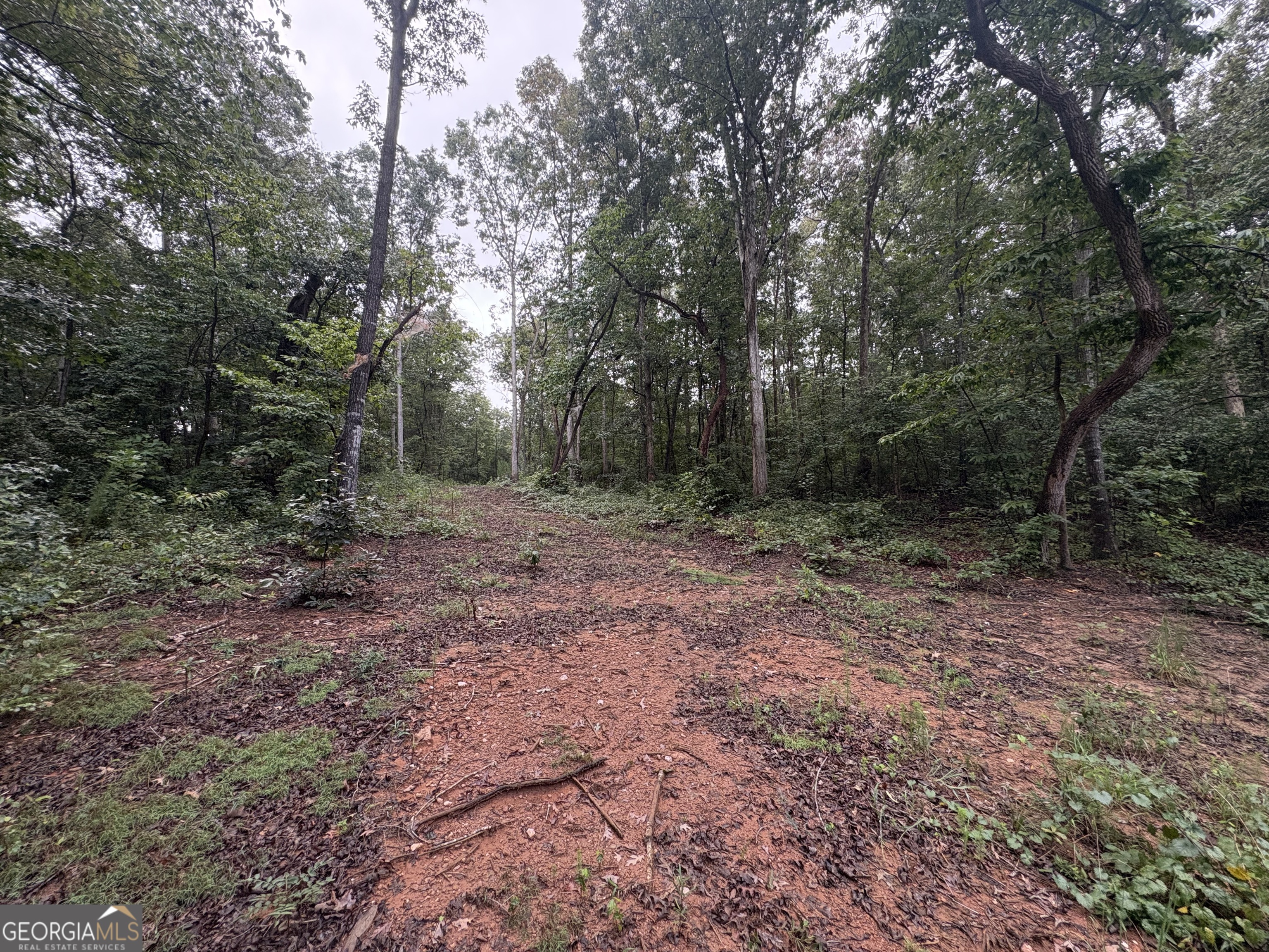 0 Nails Creek XING