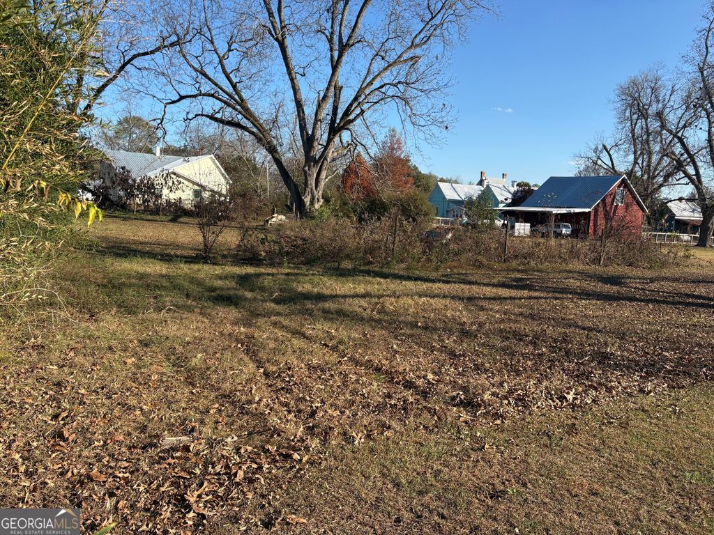 Photo of 151 College Street NE, Parrott, GA 39877 (MLS # 10650366)