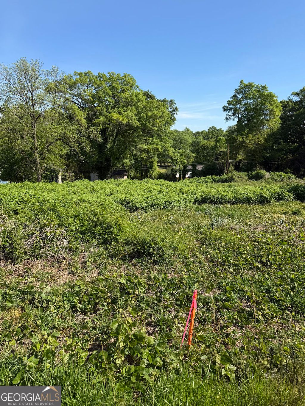 Photo of 513 Mount Crest Dr, Gainesville, GA 30501 (MLS # 10735624)