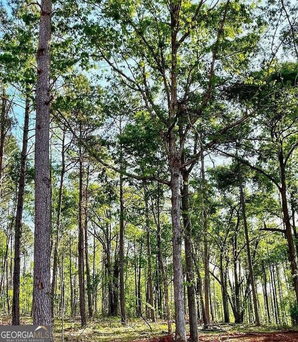 Photo of 1660 Watkins Farm Road, Nicholson, GA 30565 (MLS # 10704271)