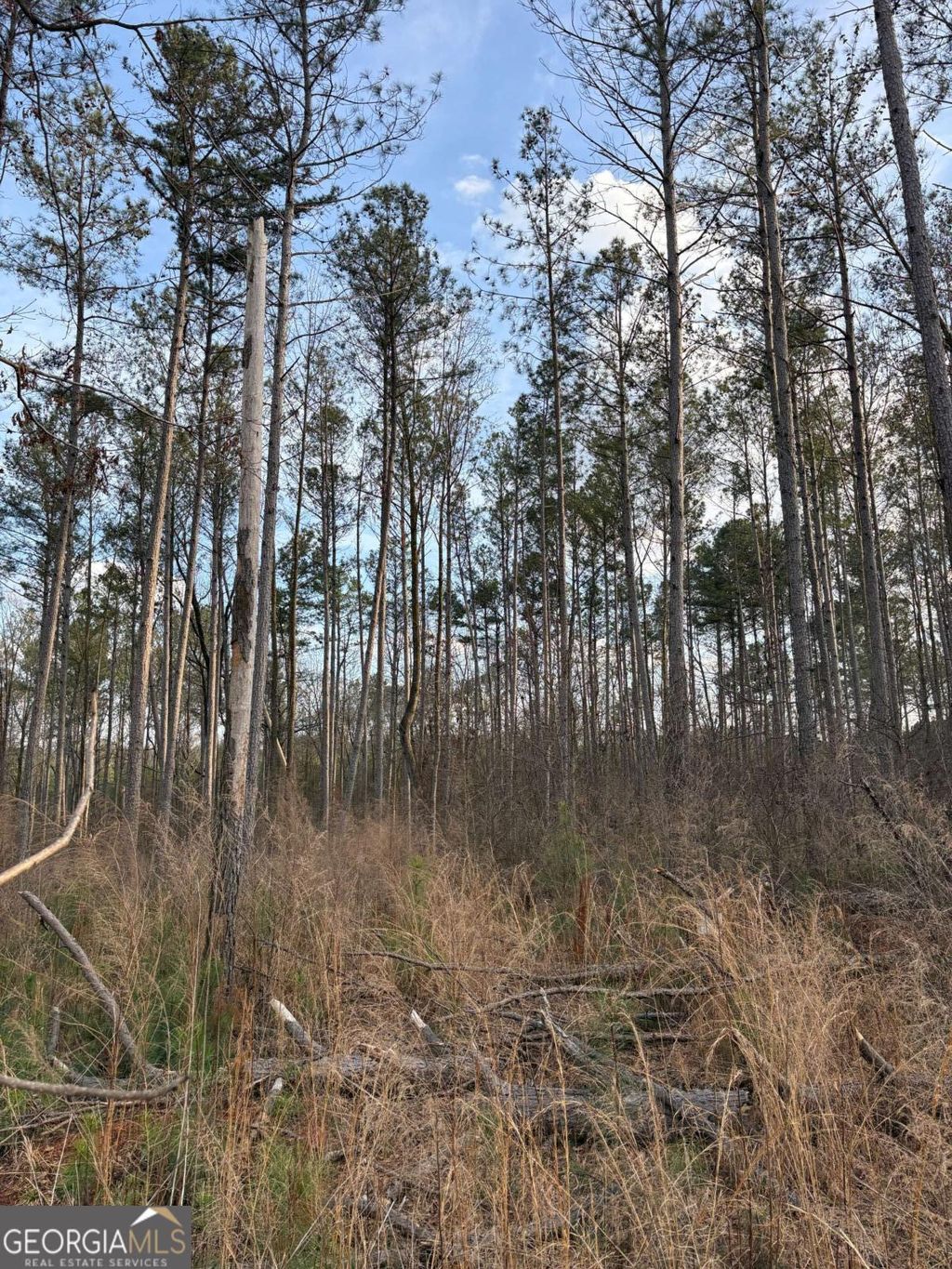 Photo of 1660 Watkins Farm Road, Nicholson, GA 30565 (MLS # 10704271)