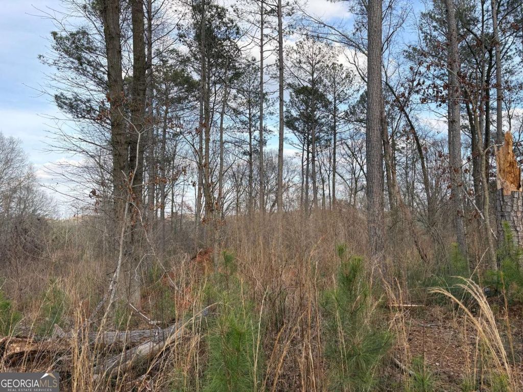 Photo of 1660 Watkins Farm Road, Nicholson, GA 30565 (MLS # 10704271)