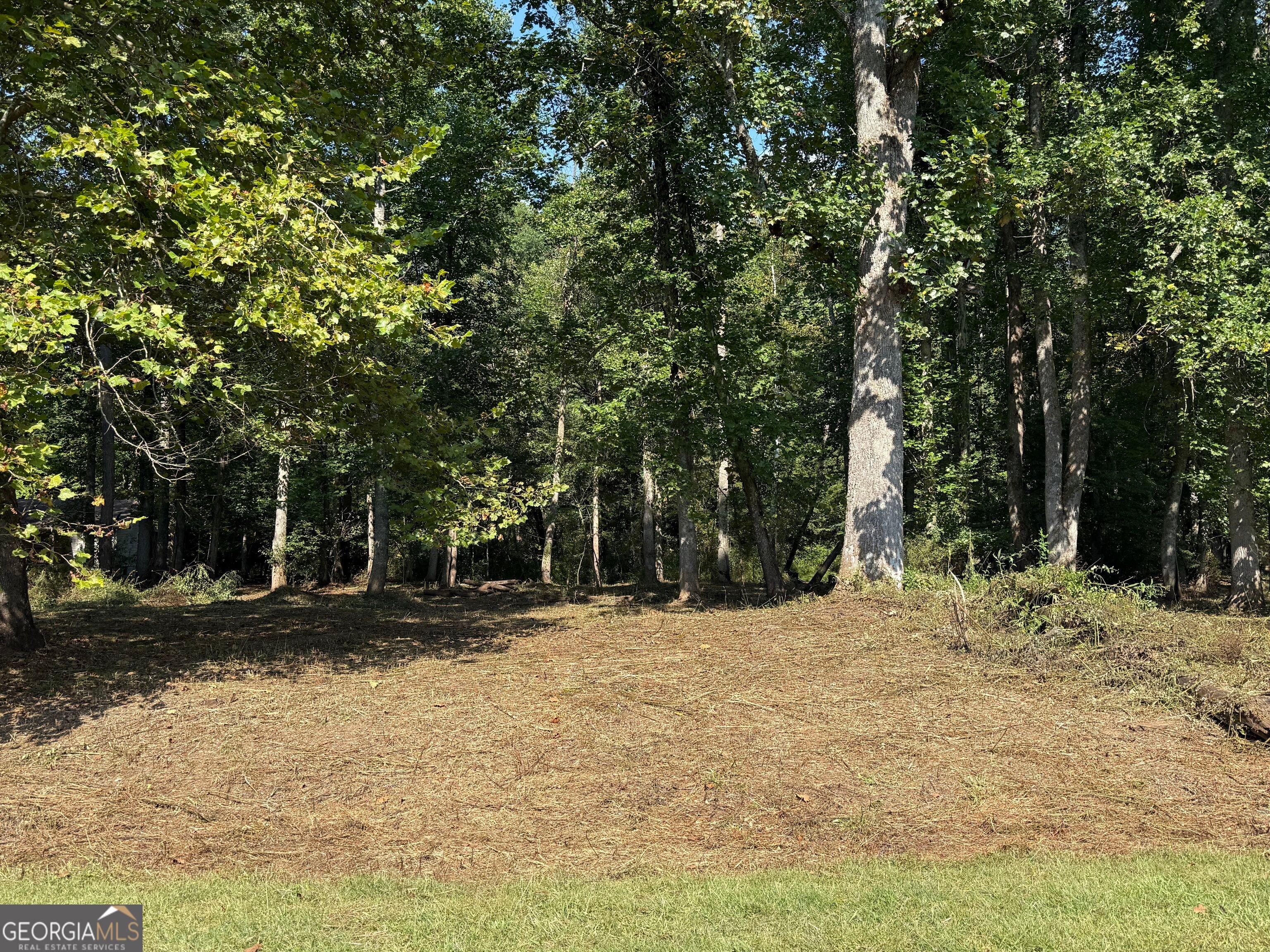0 Mountain Meadows DR