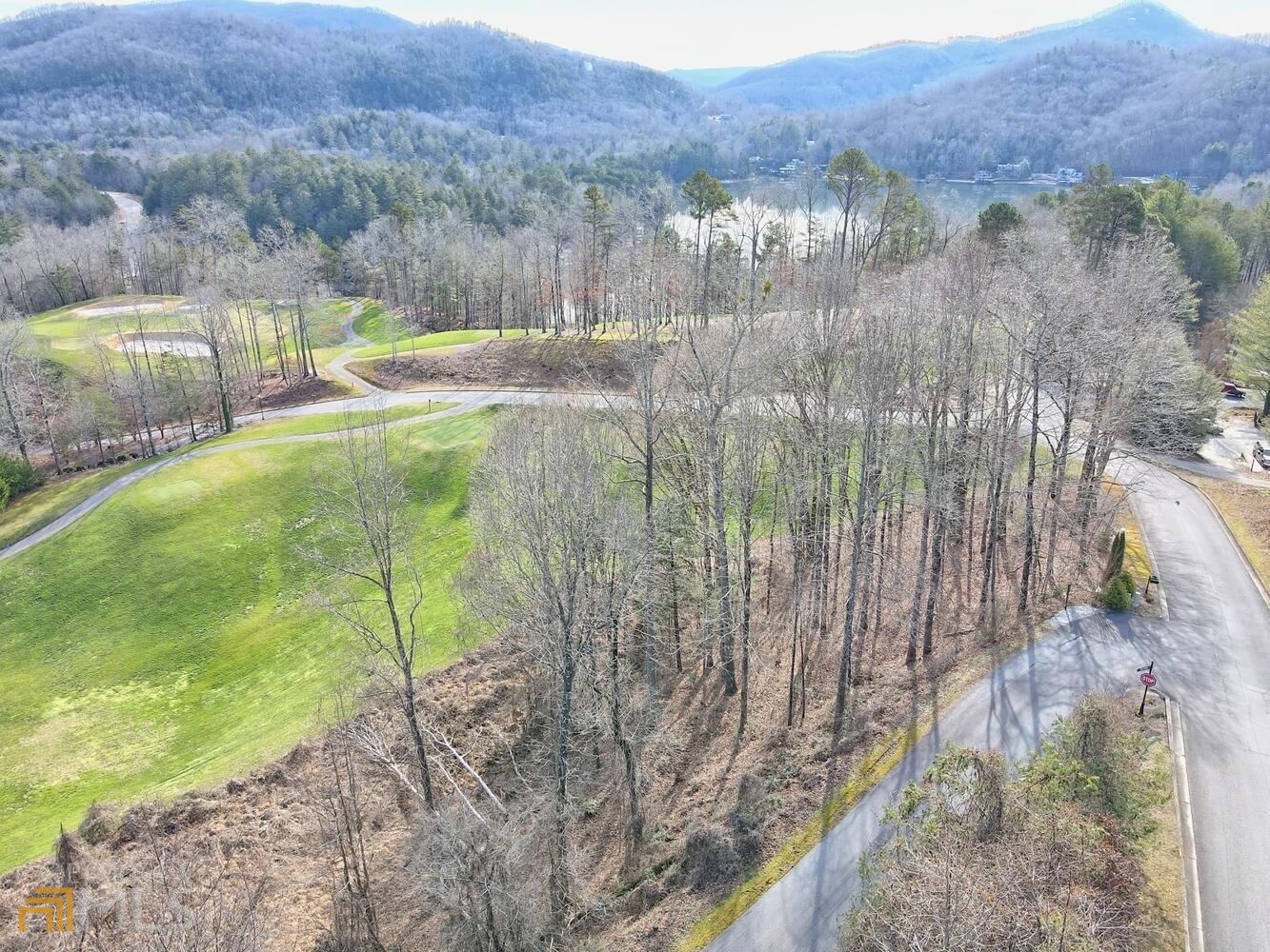 A gentle-sloping, buildable lot on Waterfall Club's Hole #5 with amazing curb appeal from the front gates of Waterfall at Lake Burton. A superb opportunity to build your dream full-time or vacation home with golf course and distant mountain views at the beginning of one of Waterfall's most established streets. A chance to indulge in the amenities of a golf course/country club community (as a member of Waterfall Club) with the added convenience of everything NE Georgia has to offer: close proximity to Lake Burton for boating, kayaking, and fishing; hiking or hunting; enjoying the award-winning restaurants and fabulous boutique shopping of thriving downtown Clayton; and, so much more!