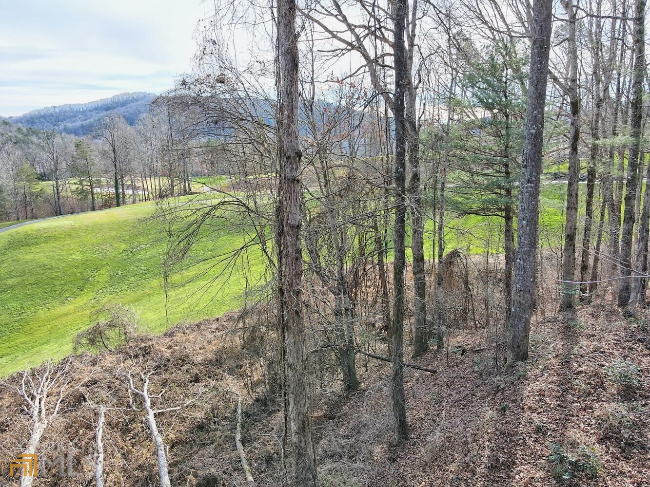 Clayton, Georgia 30525, United States, ,Land,Active,21196