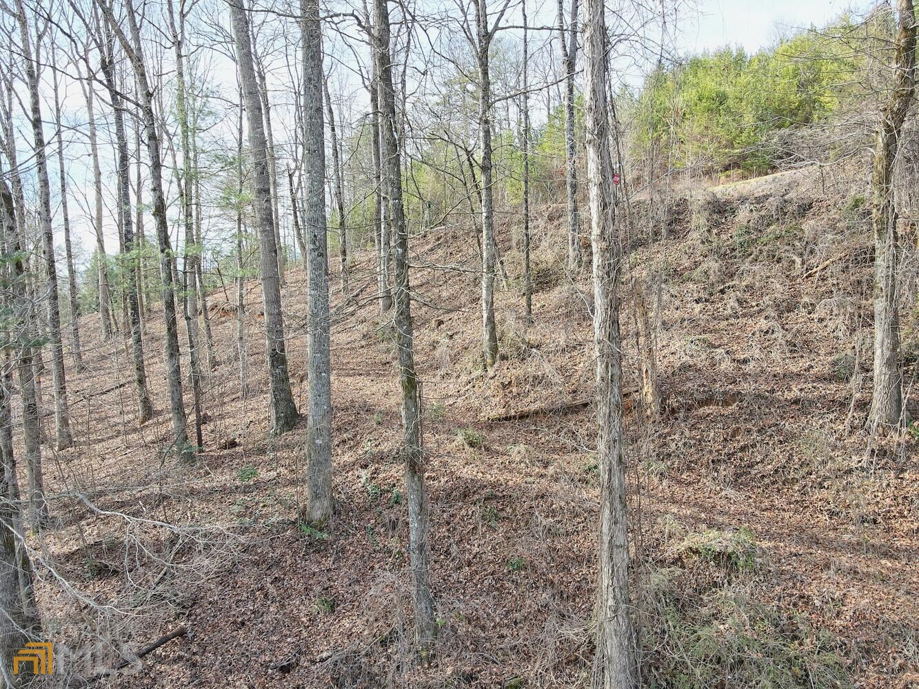 Clayton, Georgia 30525, United States, ,Land,Active,21196