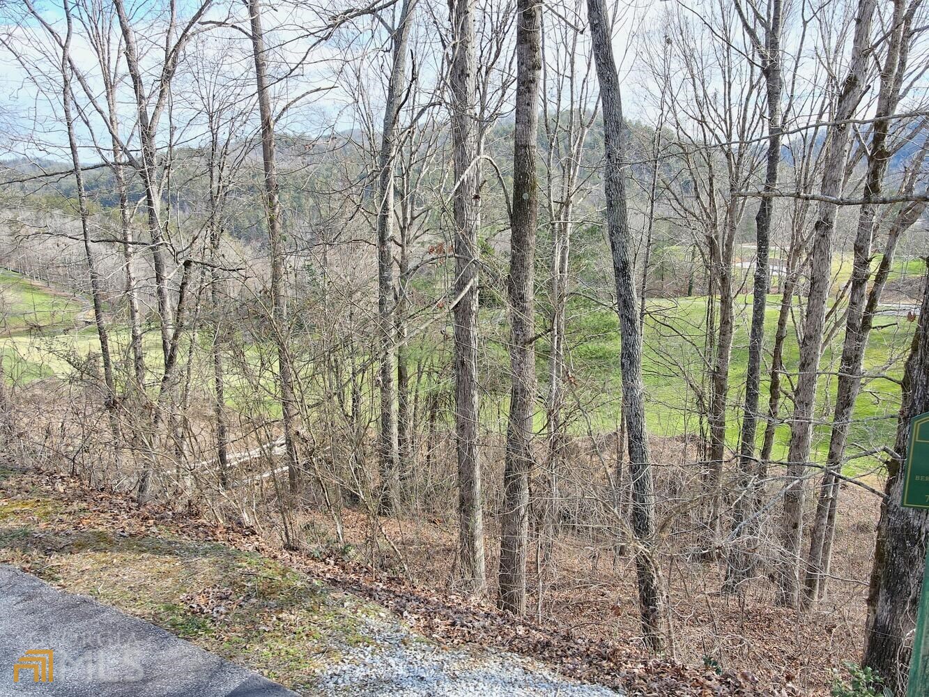 Clayton, Georgia 30525, United States, ,Land,Active,21196