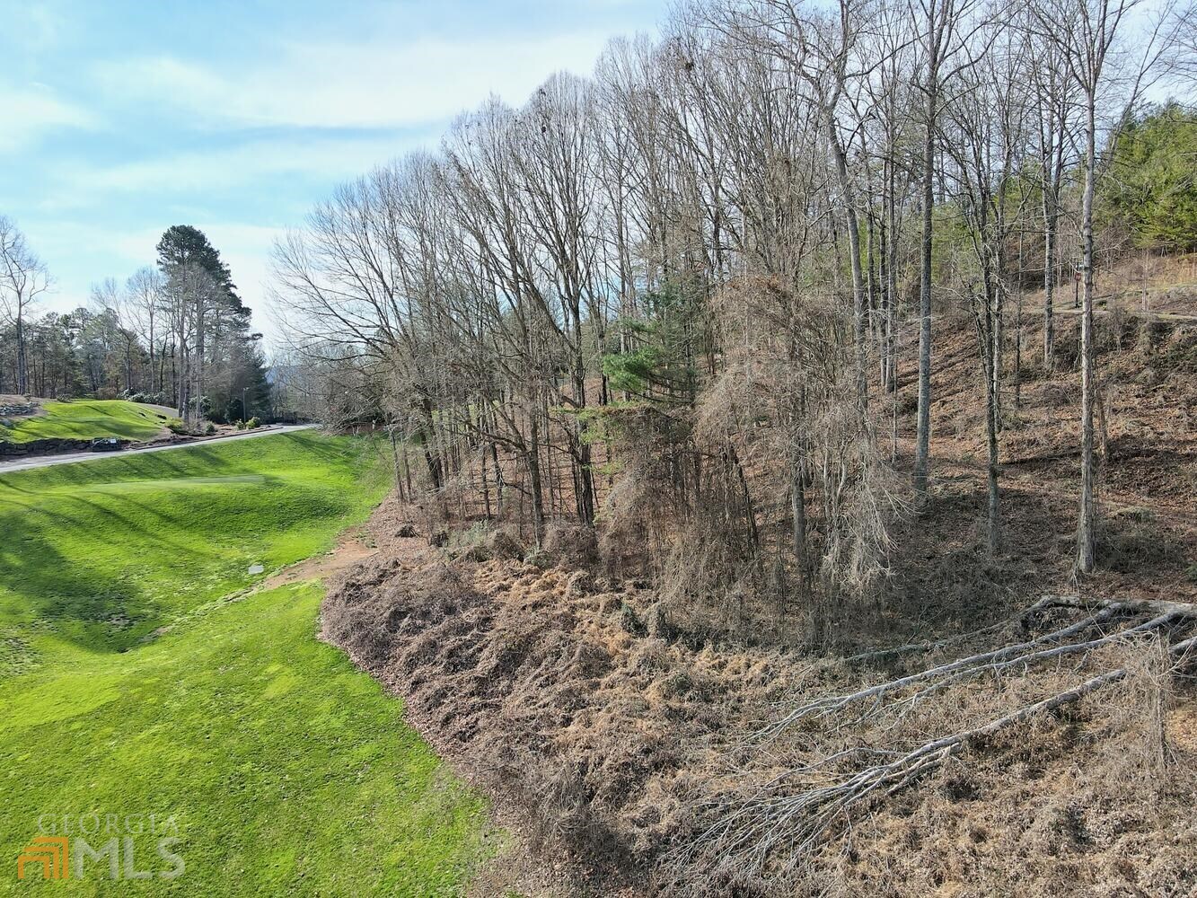 Clayton, Georgia 30525, United States, ,Land,Active,21196