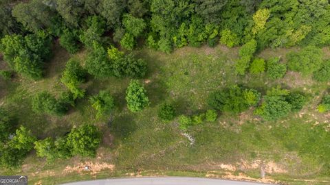 Photo of 1200 Bayside Drive, Greensboro, GA 30642 (MLS # 10513585)