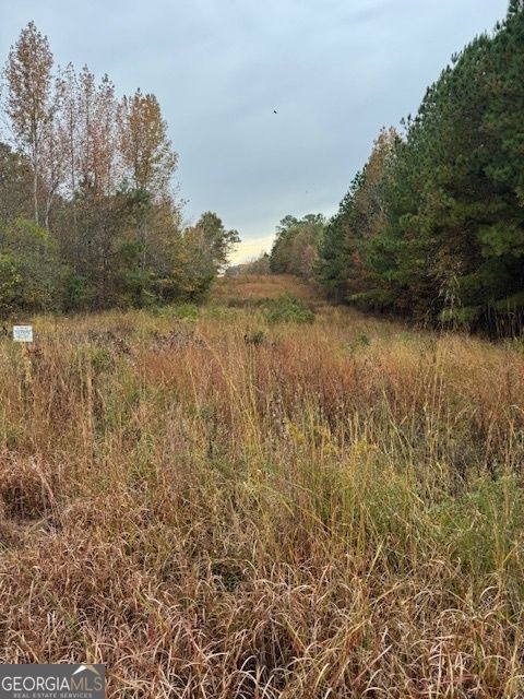 Photo of 0 Moran Lake Road, Rome, GA 30165 (MLS # 10637931)