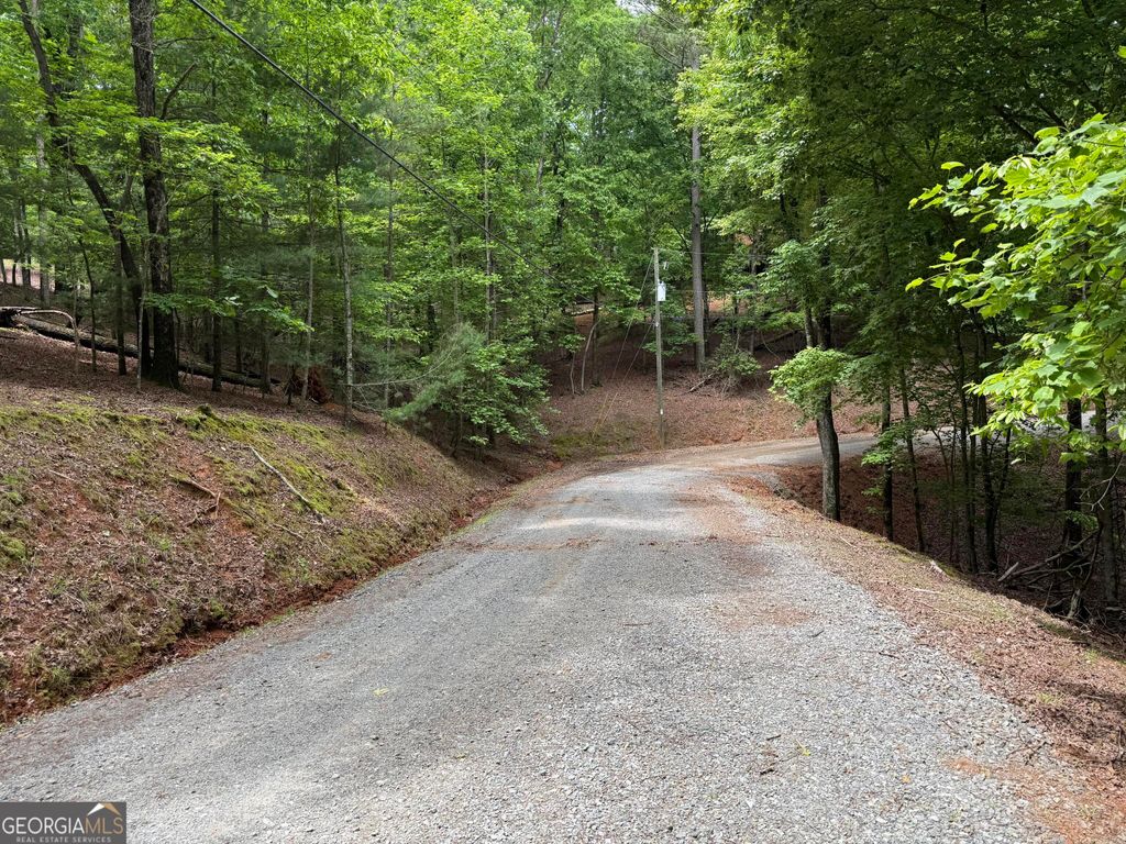 Photo of 0 Pelican Drive, Ellijay, GA 30540 (MLS # 10678785)