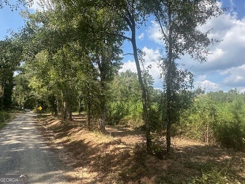 Photo of 0 Cook Road #TRACT 16, Monticello, GA 31064 (MLS # 10848943)