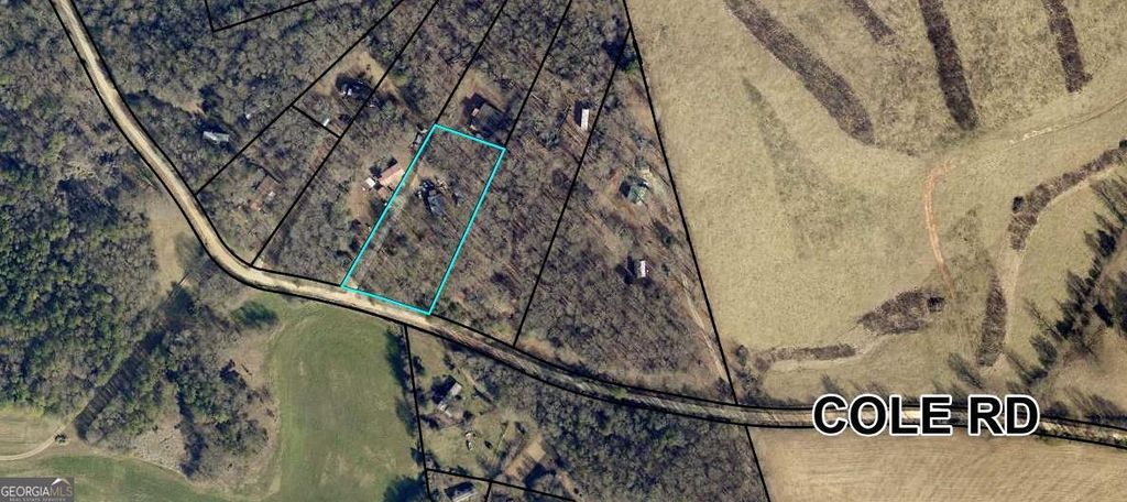 Photo of 2627 Cole Road, Carnesville, GA 30521 (MLS # 10734967)