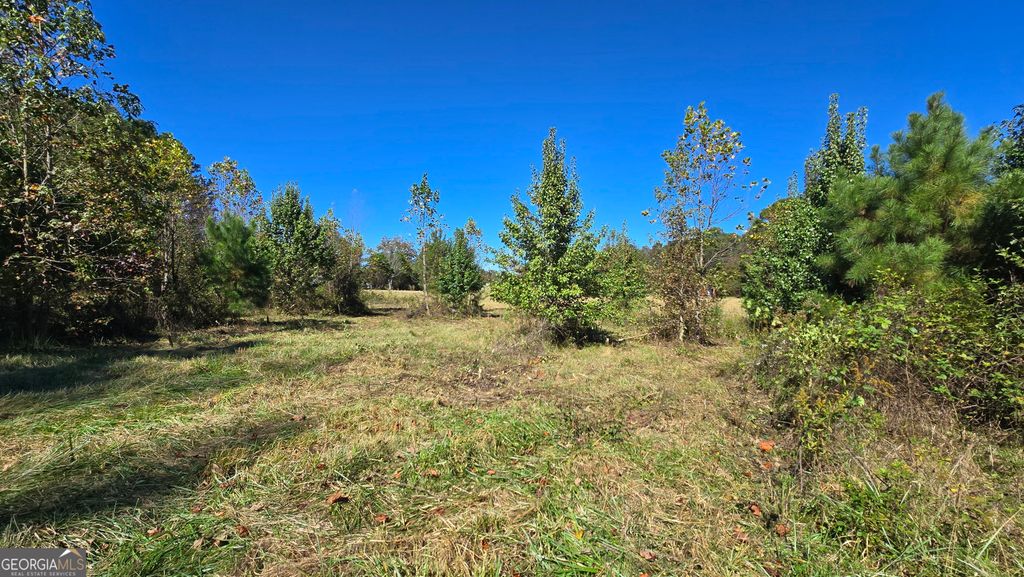 Photo of 0 Fox Bridge Road, Chatsworth, GA 30705 (MLS # 10756202)