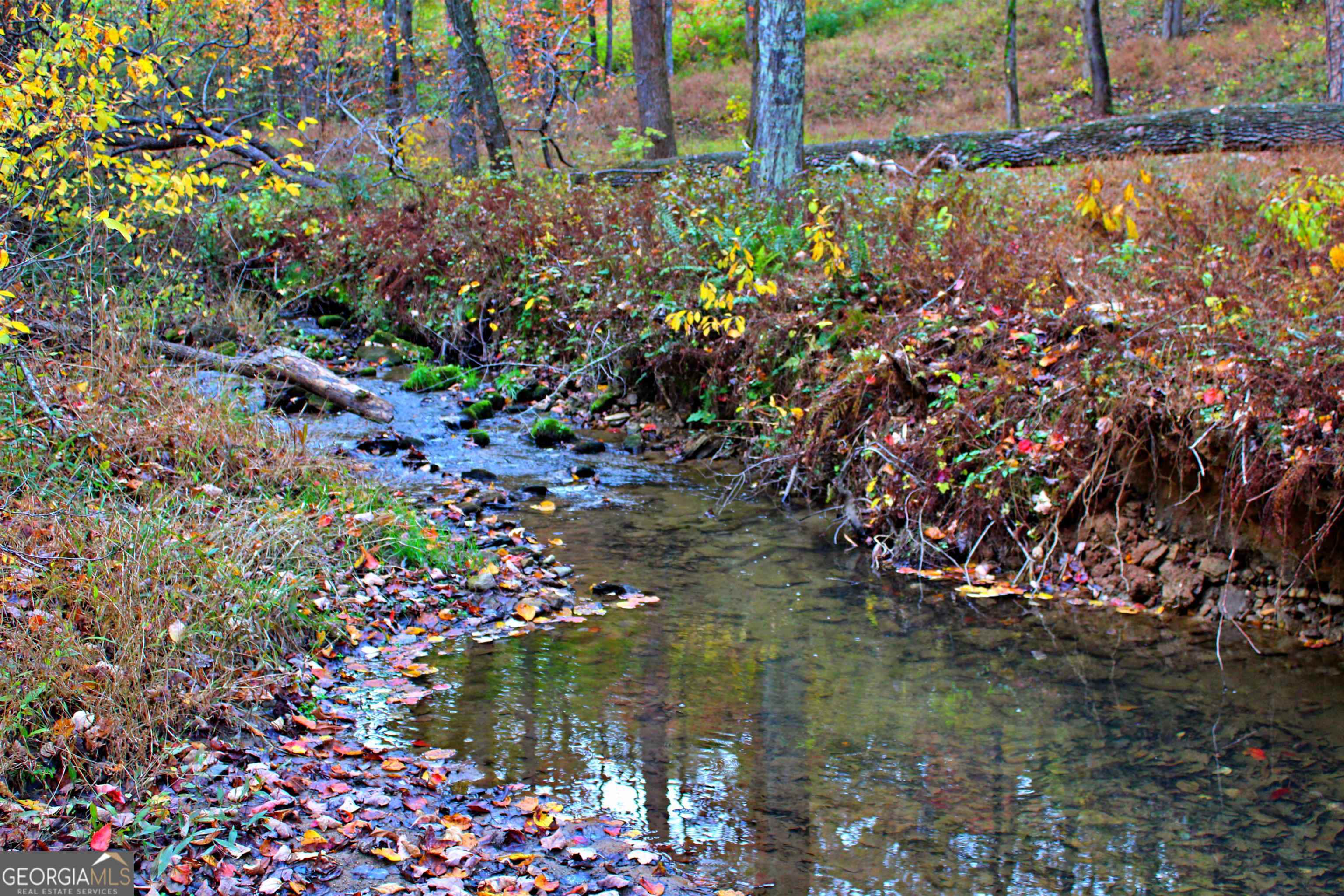 Lake frontage AND creek frontage in the sought after, Lake Laceola Community. This 2.88 acre lot would be the perfect spot to build your next dream home. The lot has lake access and creek access from the property. It is in a gated community, in a great location, in the heart of Cleveland. It is close to schools, shopping, and restaurants. It is close to Helen, wineries and local hiking trails. This is a must see! Gate code changes frequently-please call agent for code. **Seller will build to suit**