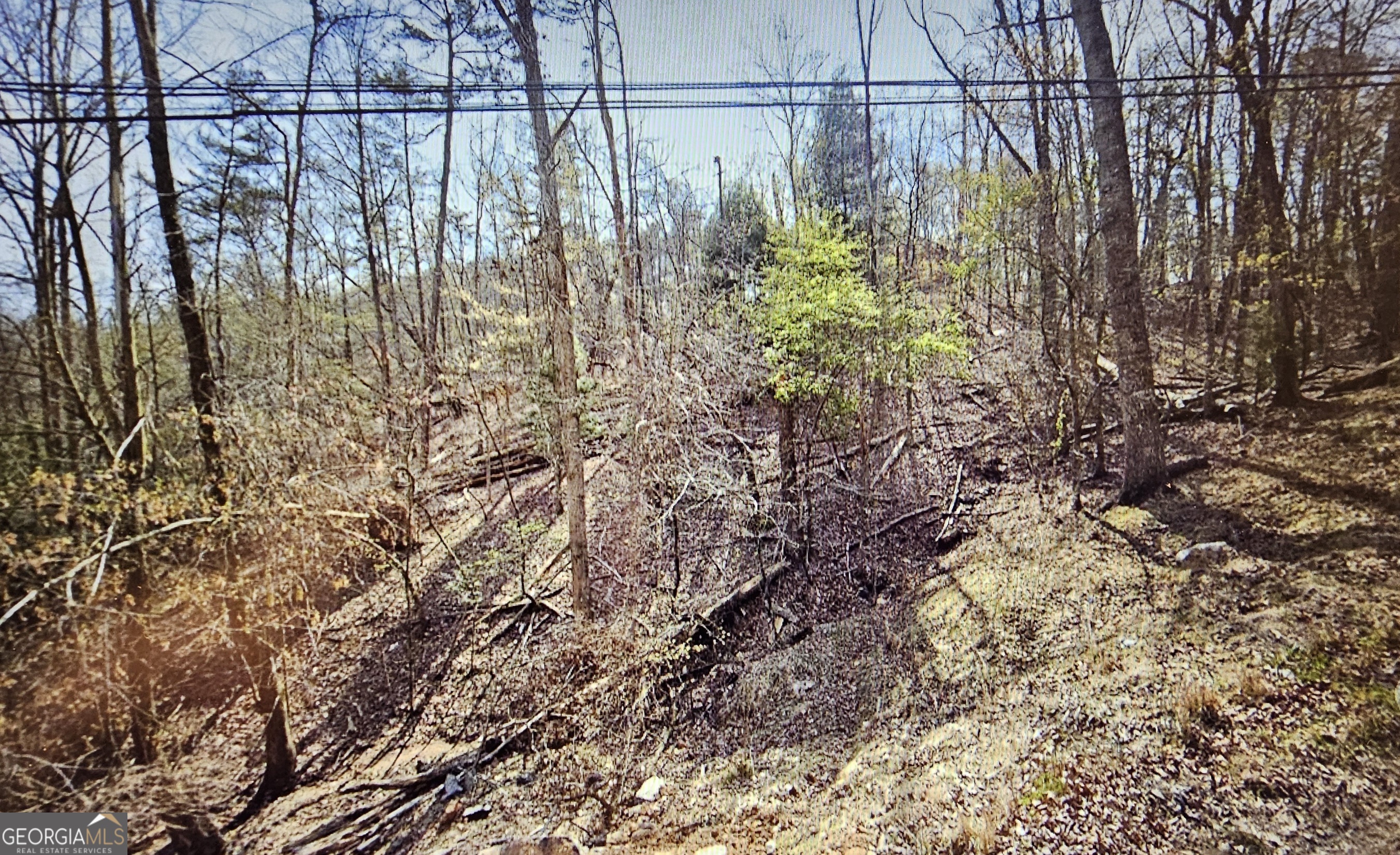 Now Available! Don't miss this opportunity to own a beautifully wooded lot in the sought-after Eagles Mountain Resort, (Coosawattee River Resort) in the scenic North Georgia Mountains. This site could be perfect for your own full-time residence, weekend retreat or lucrative short term rental potential. A gated community covering over 6,500 acres, offers resort style amenities like a recreation center with gym, indoor heated Olympic pool; seasonal, exterior pools; Arcade; Tennis; Basketball; Pickleball; Putt-putt; Playground; and more! Throughout the resort, there are walking trails, a stocked catch-and-release fishing lake, a duck pond, and numerous other green spaces to explore. With four gated entry points, the resort offers both security and convenience. Whether you're seeking tranquility, adventure, or a smart investment, Lot 3540 is your gateway to the best of the North Georgia Mountains.