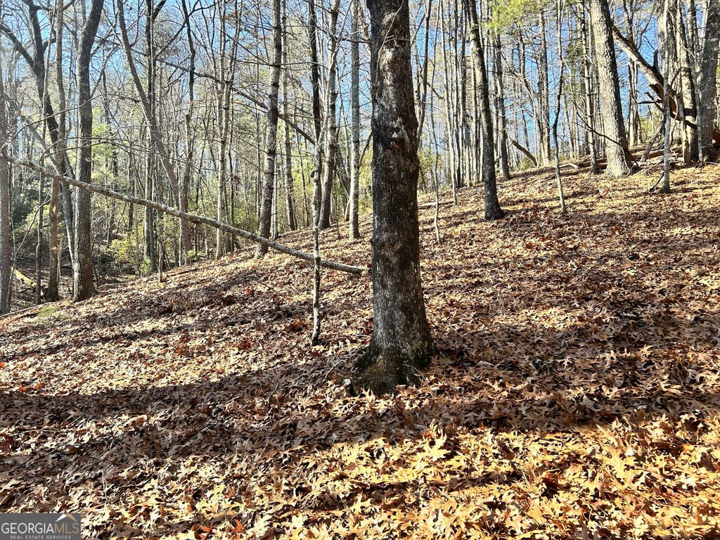 Photo of 0 Bahn Innsbruck, Helen, GA 30545 (MLS # 10656187)