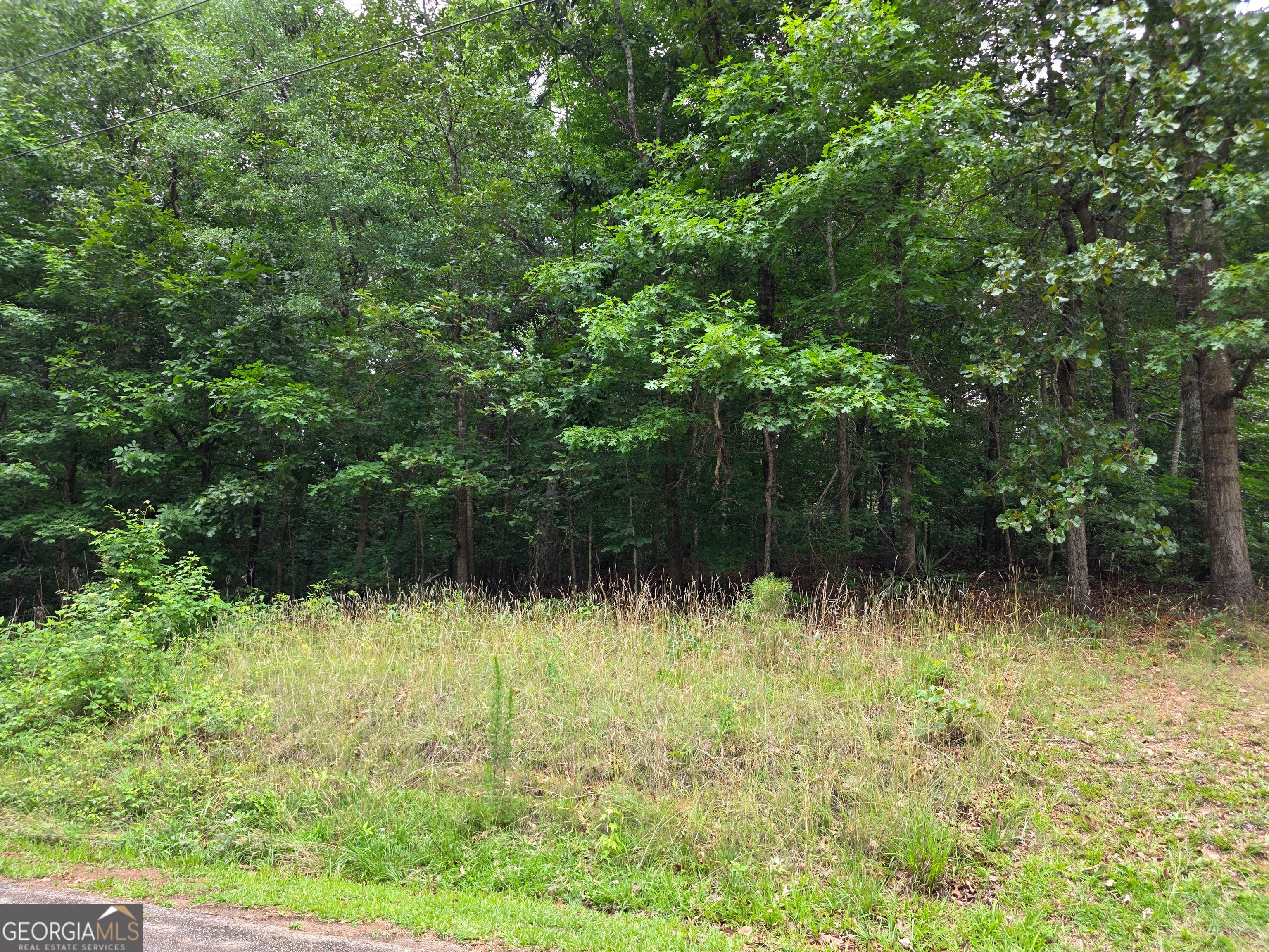 LOT 270 Arrow LN