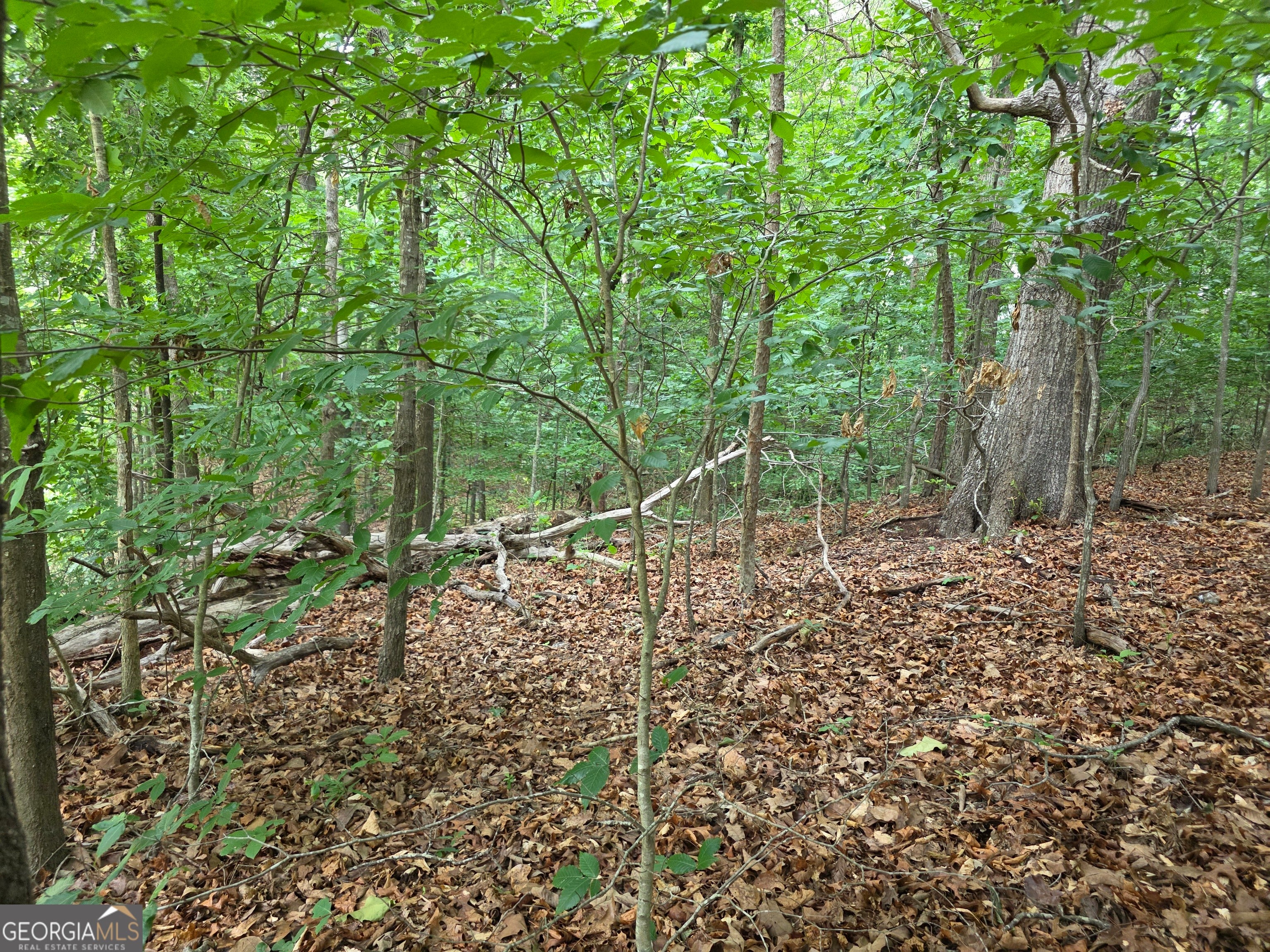 LOT 270 Arrow LN
