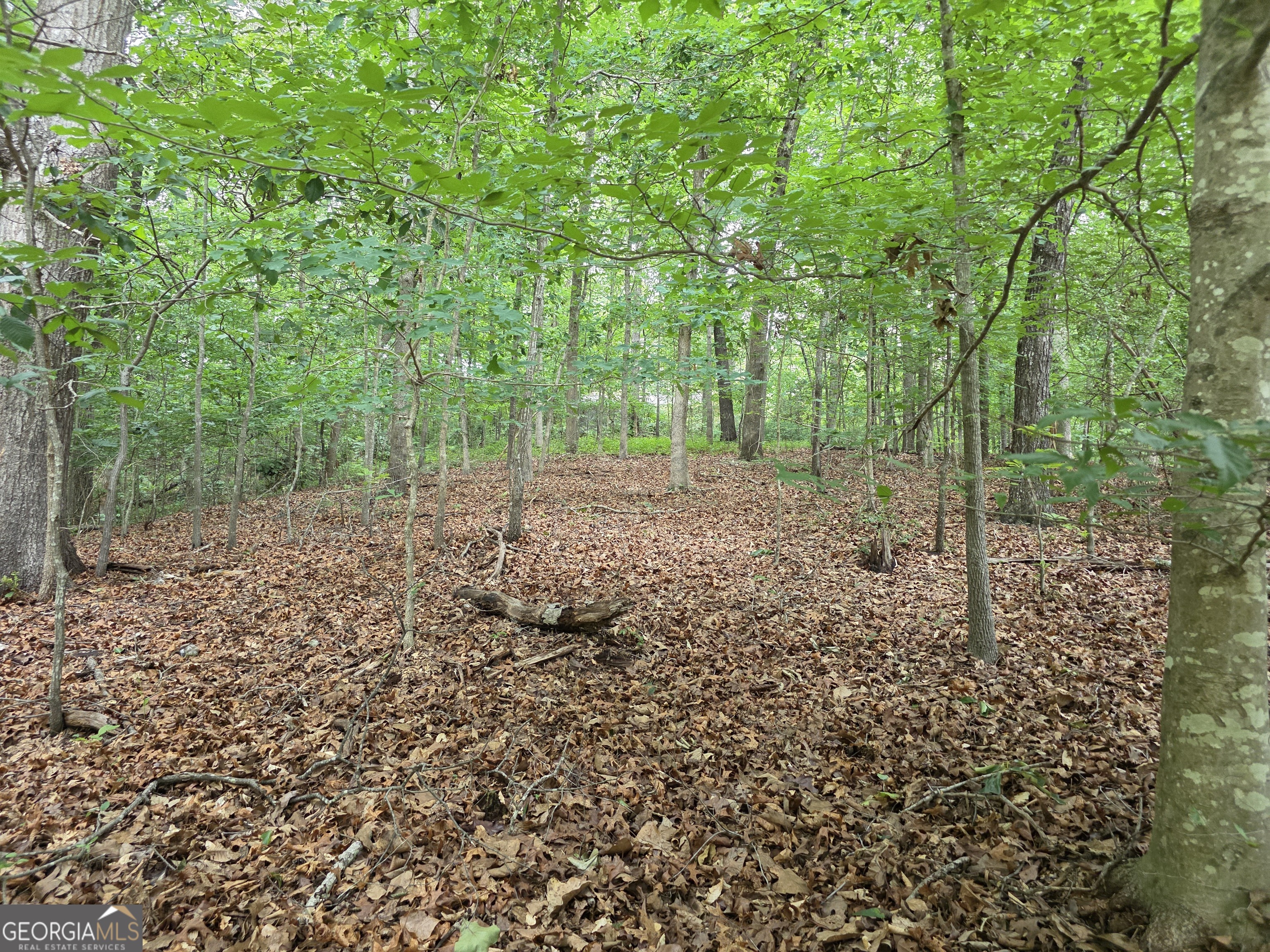 LOT 270 Arrow LN