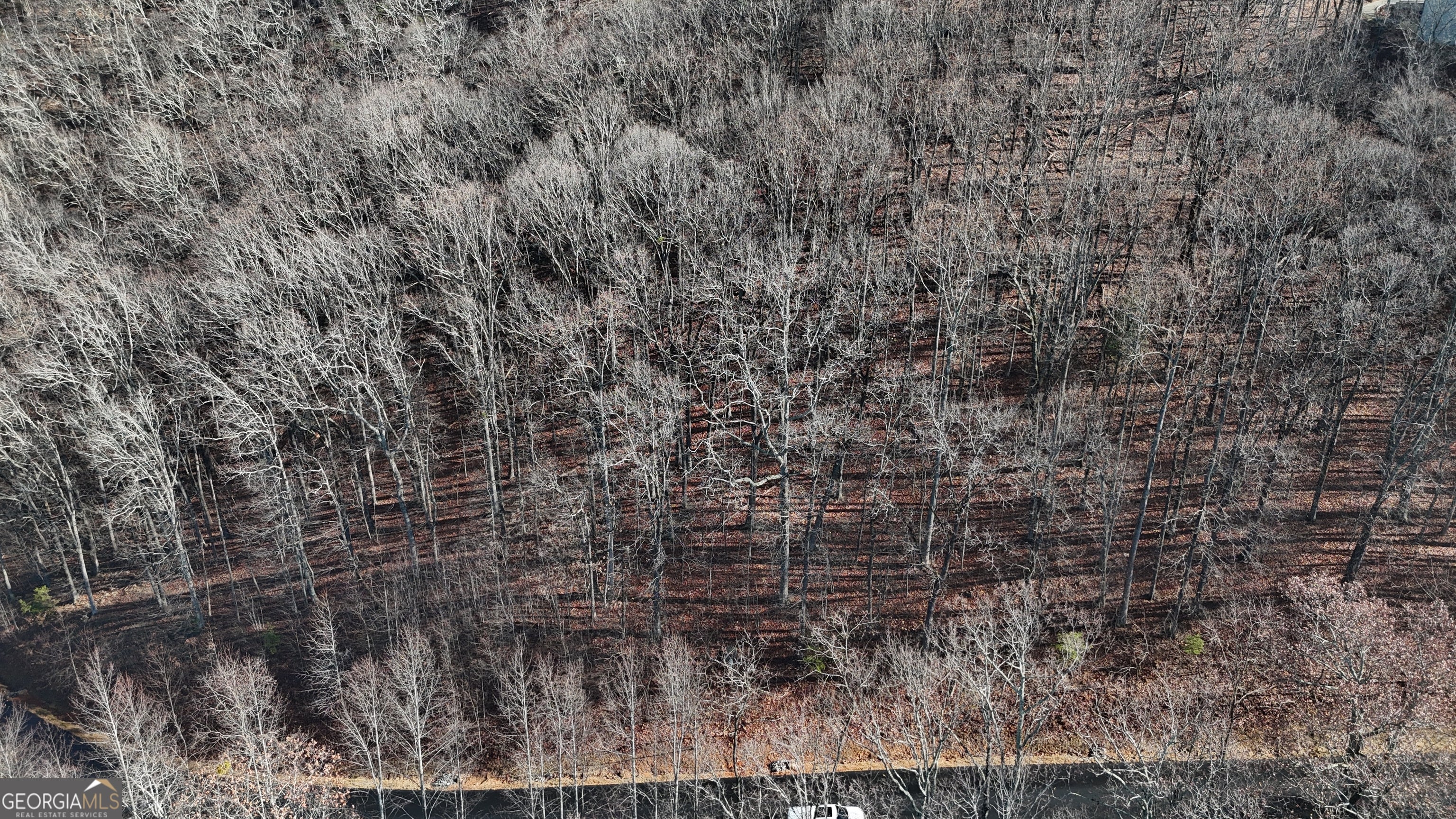 LOT 45 Mountainside DR