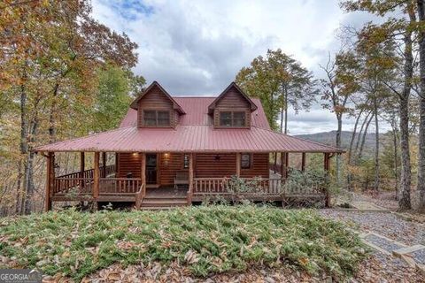 A home in Mineral Bluff