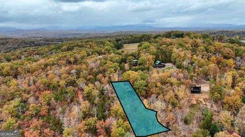 A home in Mineral Bluff