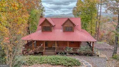 A home in Mineral Bluff