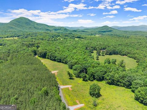 Photo of 0 Arthur Allen Road, Cleveland, GA 30528 (MLS # 10646088)