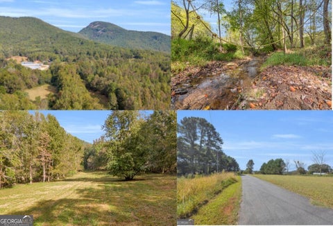 Photo of 0 Turner Road, Cleveland, GA 30528 (MLS # 10809736)