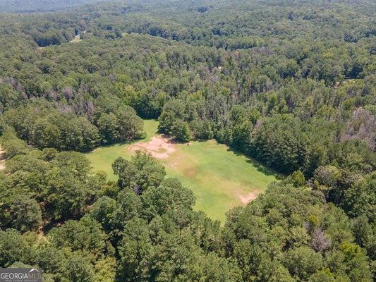 RIVERTOWN RD, PALMETTO, GA 30268 - Image 27d507b2d14faaa28b35781da8768204/2560777501
