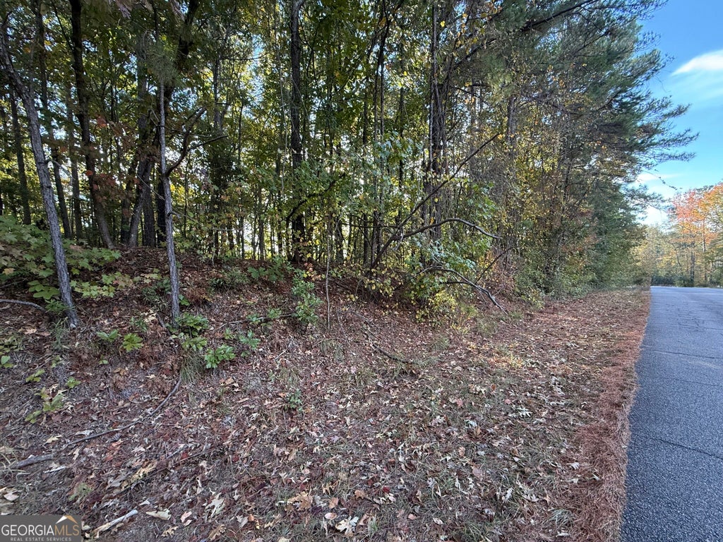 Photo of 0 Waterview Drive, Lagrange, GA 30240 (MLS # 10880433)
