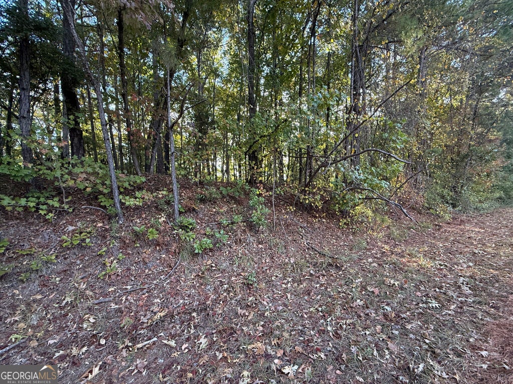 Photo of 0 Waterview Drive, Lagrange, GA 30240 (MLS # 10880433)