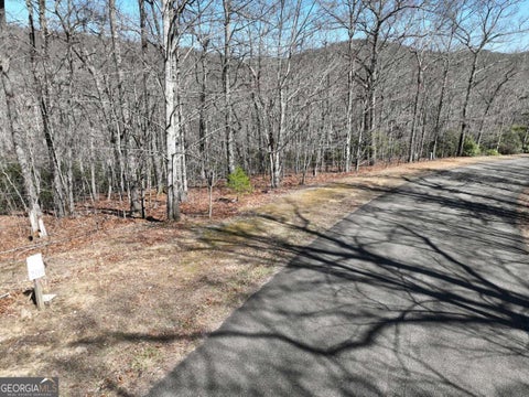 Photo of 206 Northview Parkway, Ellijay, GA 30536 (MLS # 10777473)