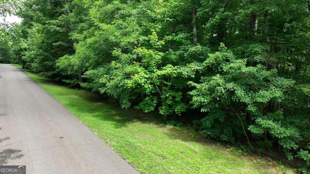 Photo of 206 Northview Parkway, Ellijay, GA 30536 (MLS # 10777473)