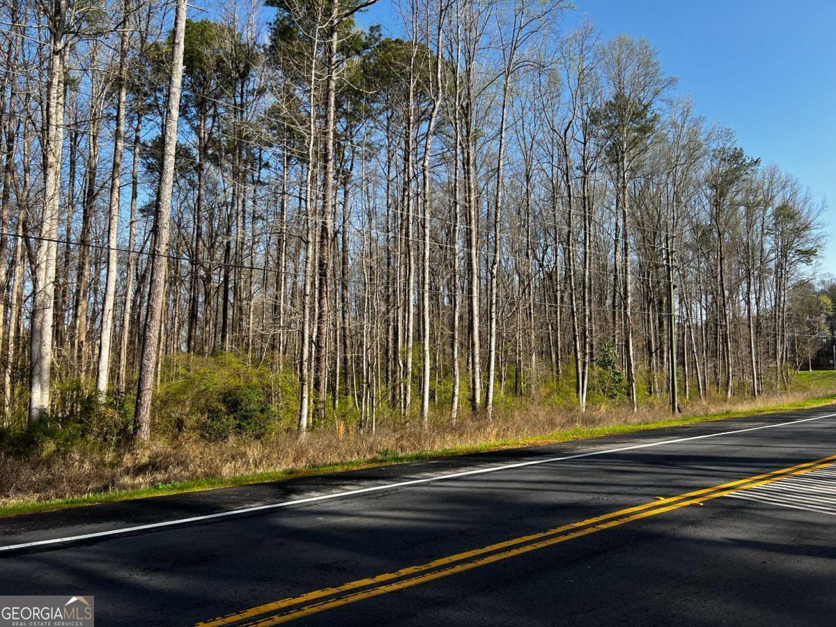 56 Panola RD