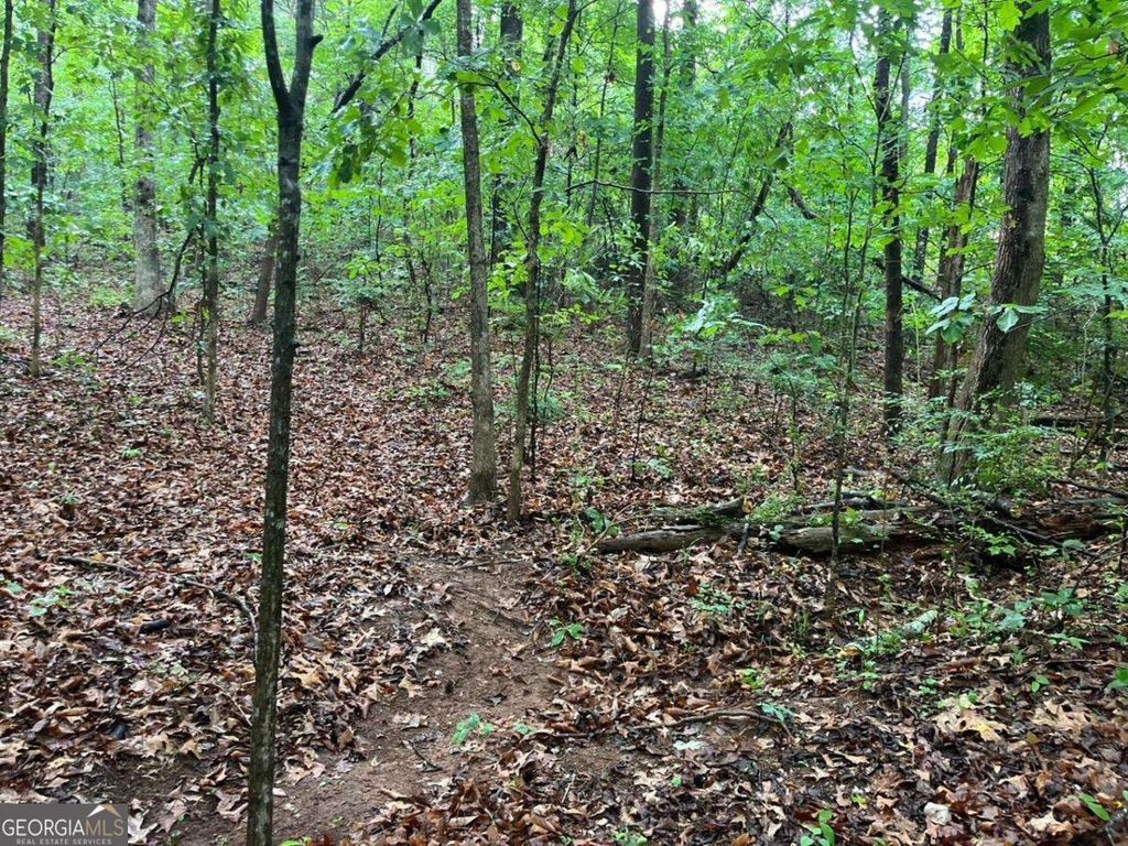 Photo of 0 Lake Club Drive, Lavonia, GA 30553 (MLS # 10759013)