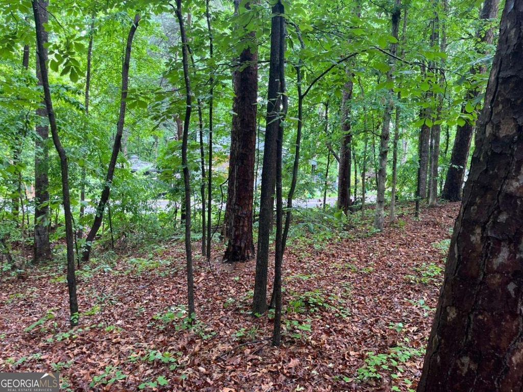Photo of 0 Lake Club Drive, Lavonia, GA 30553 (MLS # 10759013)