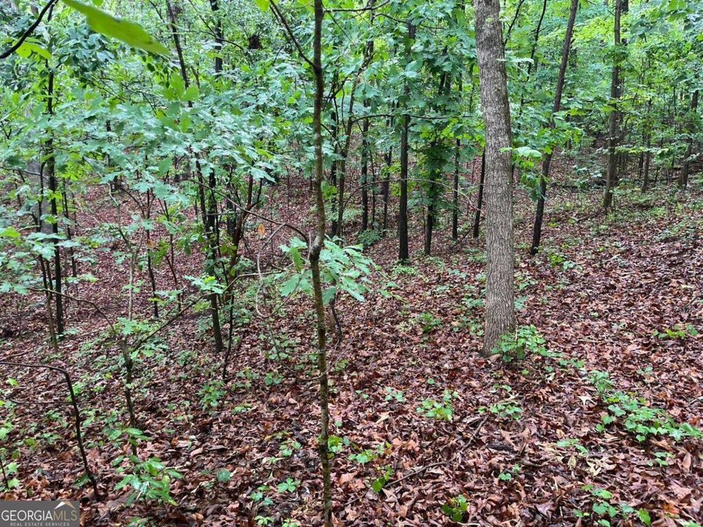 Photo of 0 Lake Club Drive, Lavonia, GA 30553 (MLS # 10759013)